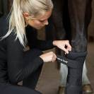Guêtres Stable Boots Royal - Back On Track