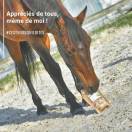 Friandises Natural'Crackers - Natural'Innov