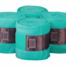 Bandes polaires turquoise Frosty Mint - Equito