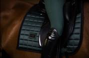 Tapis de selle Sportive Sycamore Green - Equestrian Stockholm