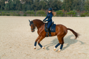 Sweat Ideal Hoodie Sportive Navy - Equestrian Stockholm