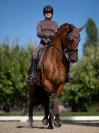 Bonnet Amaranth - Equestrian Stockholm