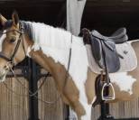 Tapis de selle Skin-Friendly Velvet - Kentucky