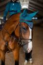 Bonnet Aurora Blues - Equestrian Stockholm