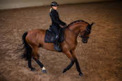 Bandes de polo All Black Glimmer - Equestrian Stockholm