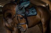 Bonnet Sycamore Green - Equestrian Stockholm