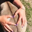 Bracelet fer à cheval - Ponytail & Co