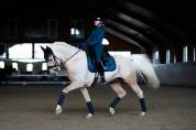 Tapis Glimmer Blue Meadow - Equestrian Stockholm