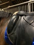 Selle de dressage Euroriding titan 