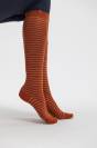 Chaussettes 3 paires Harcour Salsa