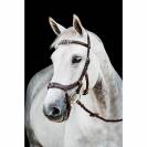 Bridon Rambo Micklem 2 Multibride - Horseware