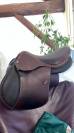 Selle Forestier Seoul neuve
