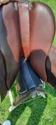 Selle Devoucoux BIARRITZ LAB Havane 
