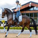 Bandages de polo Loire - LeMieux