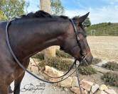Anatomical french bridle Lazypony with reins