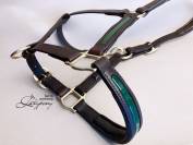 Patent leather halter Lazypony