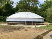 Rond de longe modèle Professionnel - HIPPOCENTER