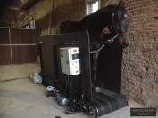 Tapis roulant Hippotrainer - HIPPOCENTER