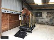 Tapis roulant Hippotrainer Plus - HIPPOCENTER