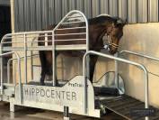 Tapis roulant Protrainer - HIPPOCENTER