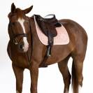 Tapis de selle Harcour Siriel June
