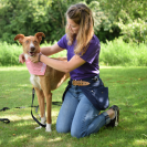 Sac-ceinture Educ+ DOUBLE Education positive Bleu Marine