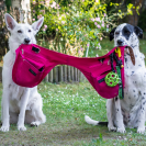 Sac-ceinture Educ+ DOUBLE Education positive Rose Fuchsia