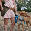 Sac-ceinture Educ + Education Positive Vert Kaki