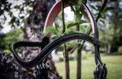  - Altra Marca - Nuovo