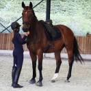 Tapis de selle dressage Classico - Equestre