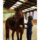 T-shirt manches longues - Gina - Equestre