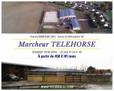  TELEHORSE.com …  constructeur de Marcheurs Ronds - Ova