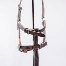 Licol en cuir gamme élevage - Atelier de Pravins