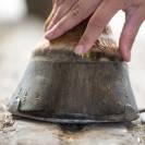 Feetactiv Onguent Bio Prêle Force 4