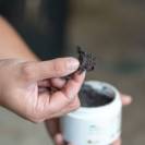 Bactifongic Pâte Fibrée Bio Argile Verte Force 4 Michel Vaillant