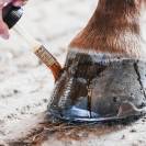 HydratoPresto Huile Bio Coco Force 1 Michel Vaillant