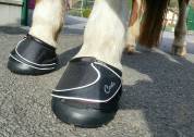 Chausson Cavallo