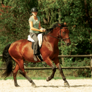 Barefoot RIDE ON physio – SUPPORT Nature