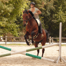 Barefoot RIDE ON physio – SUPPORT Nature