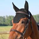 Bonnet pour cheval Carat - Jump'In