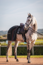 Tapis de selle TEN - GEM