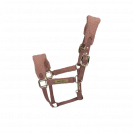 Licol Teddy Fleece - Kentucky