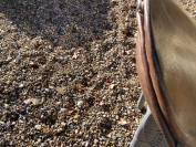 Selle de course trot 