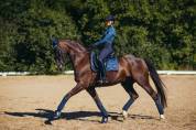Tapis de selle Equestrian Stockholm - Monaco Blue