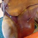 Selle d'obstacle - Josep MOLL /  Waldhausen