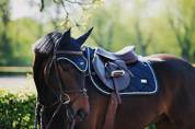 Bonnet anti-mouches Equestrian Stockholm - MIDNIGHT BLUE