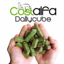 Costalfa Dailycube 25kg