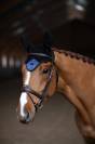 Bonnet cheval Sportive Dark Venice - Equestrian Stockholm