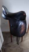 Salle dressage Albion 17,5