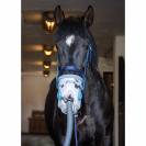 Inhalateur à ultrasons pour chevaux AirOne
